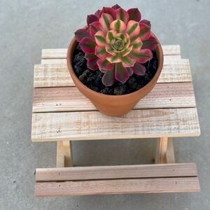 Miniature Rustic Picnic Table – Handcrafted Wooden Plant Stand & Decor